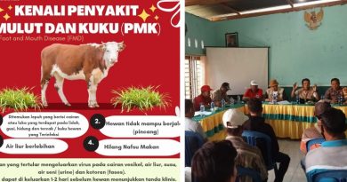 PMK Mulai Menyebar di Sumbawa, Pemilik Hewan Ternak Diminta Waspada